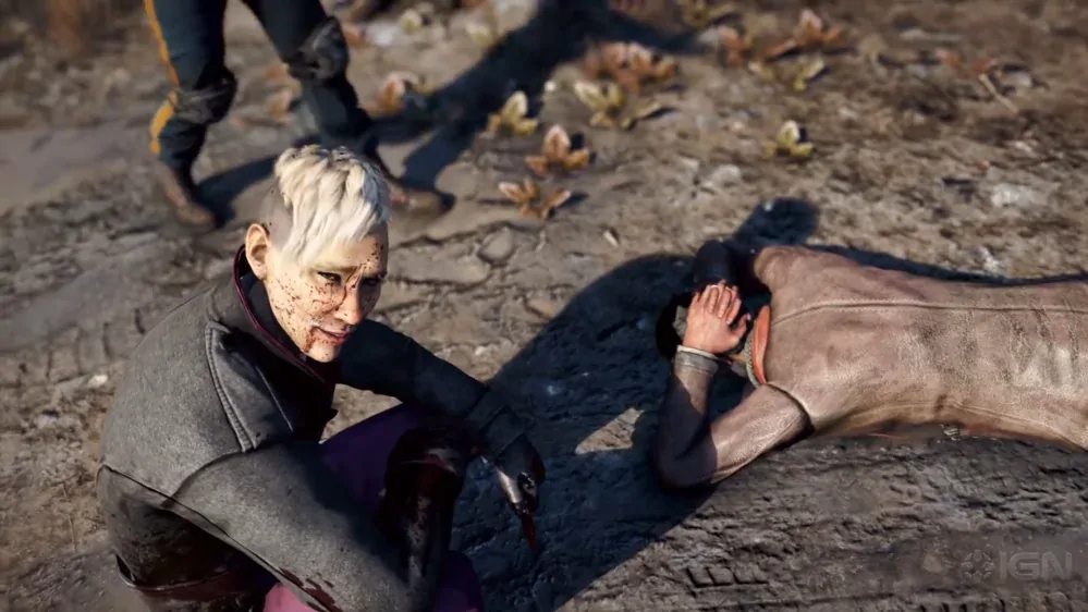 Far Cry 4 (PS4)