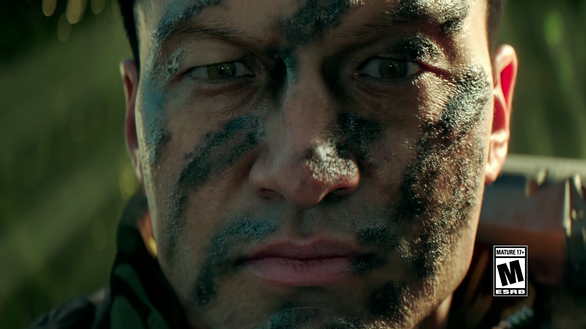 Call of Duty: Black Ops 4 (PS4)