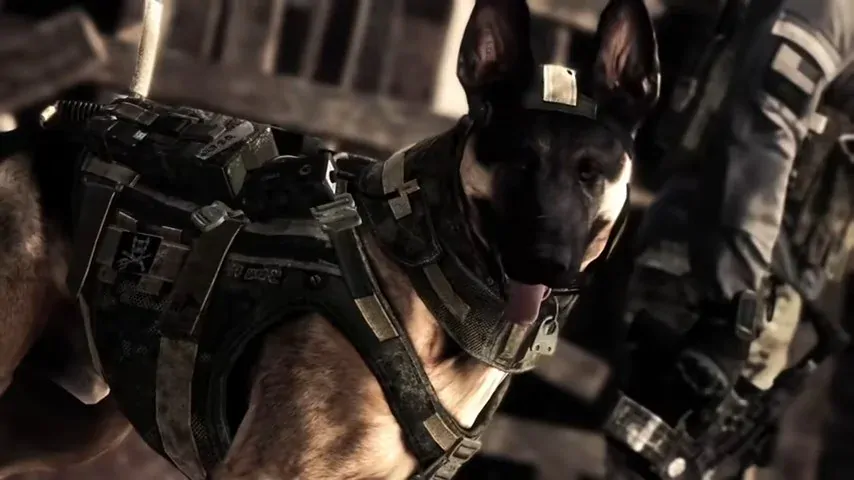 Call of Duty: Ghosts (XONE)