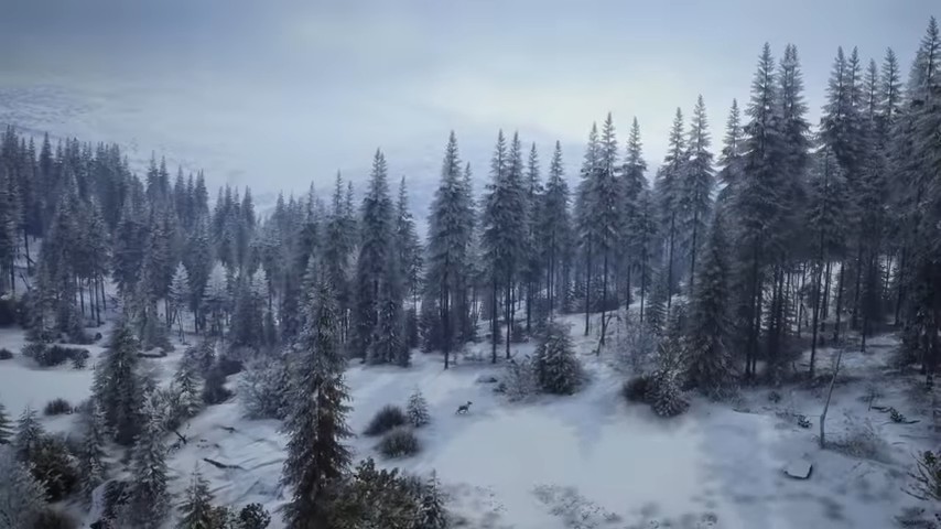 The Hunter: Call of the Wild 2019 Edition (PS4)