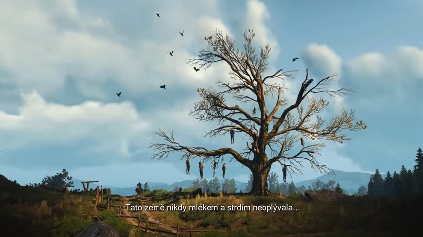 Zaklínač 3: Divoký hon (PS4)