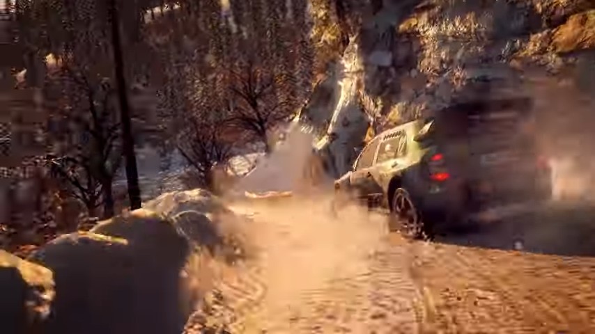 Dirt Rally 2.0 Game of The Year Edition (PS4)