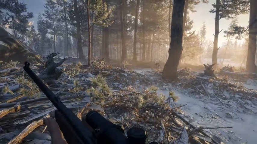 The Hunter: Call of the Wild 2019 Edition (PS4)