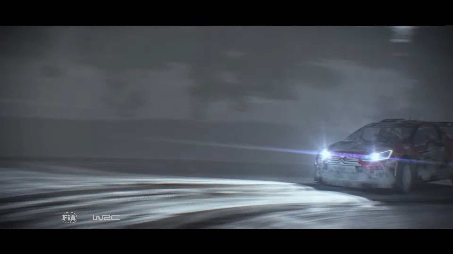 WRC 6 (PS4)