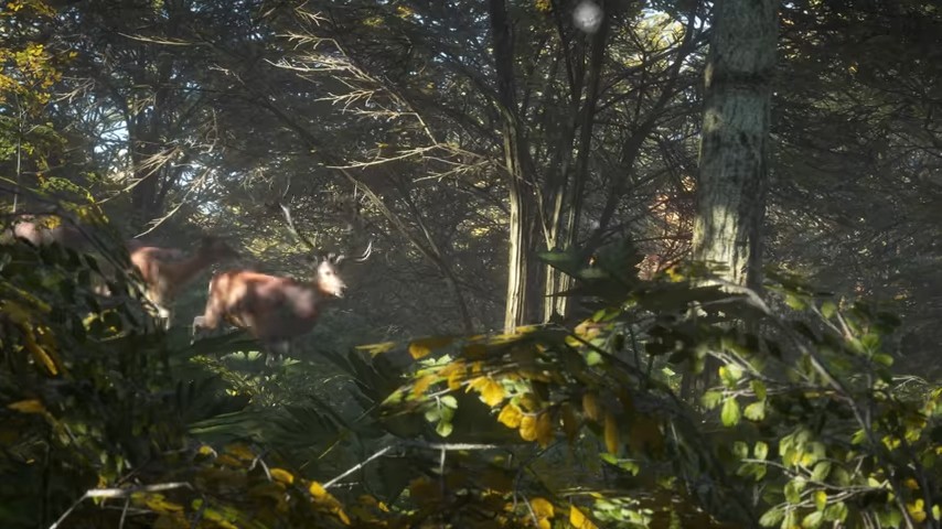 The Hunter: Call of the Wild (XONE)