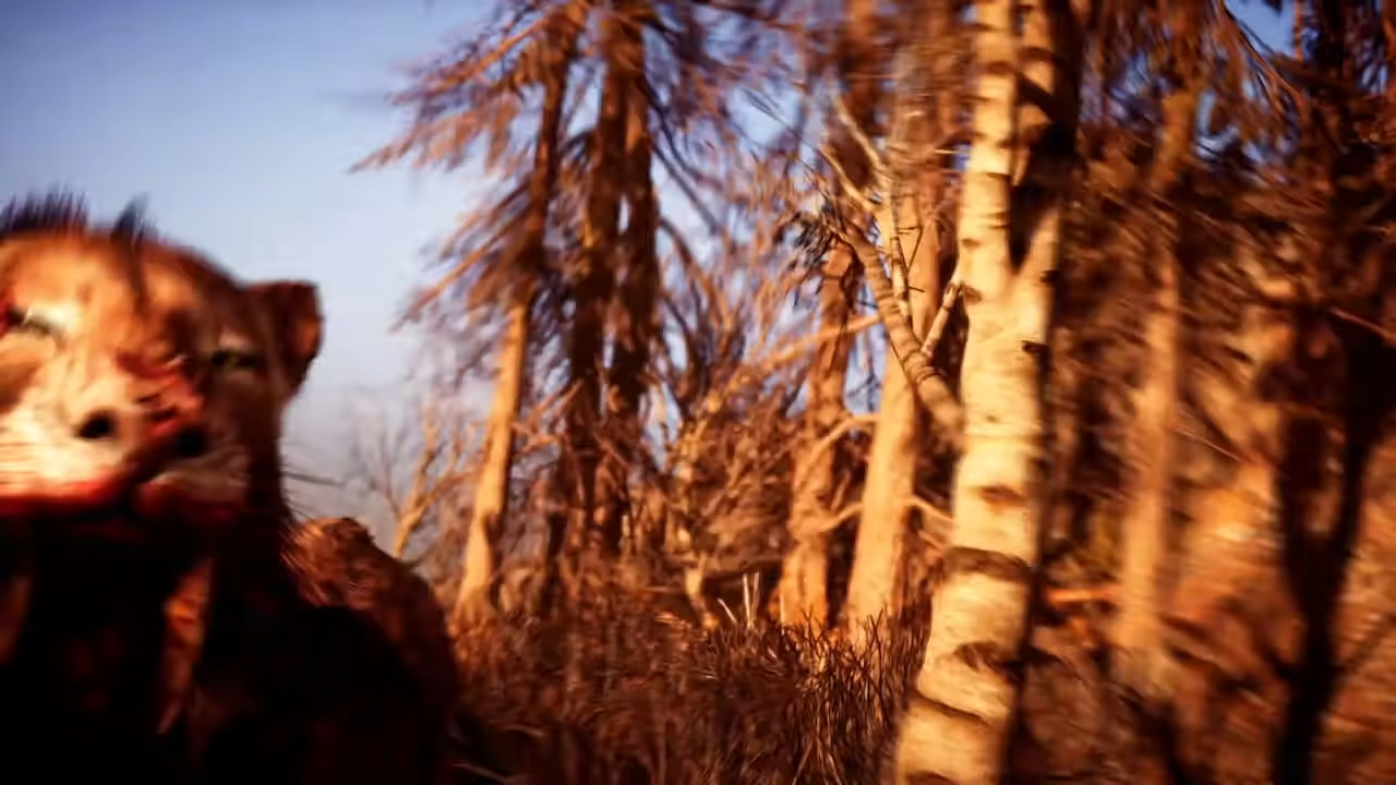 Far Cry Primal (XONE)