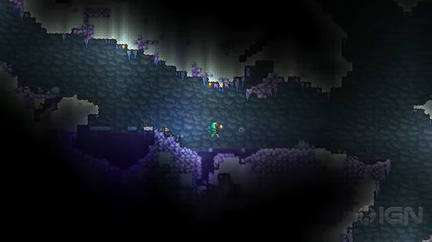 Terraria (PS4)