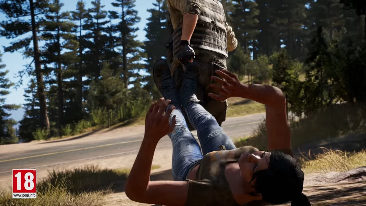 Far Cry 4 + Far Cry 5 Double Pack (PS4)