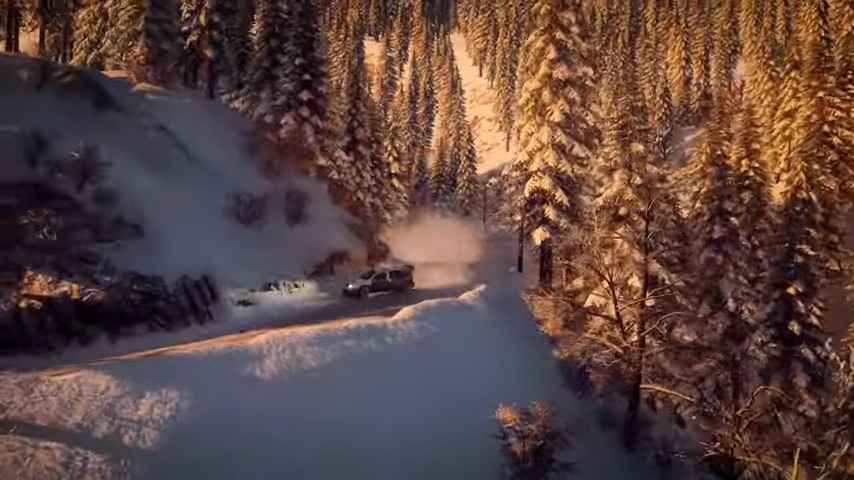 Dirt Rally 2.0 Game of The Year Edition (PS4)