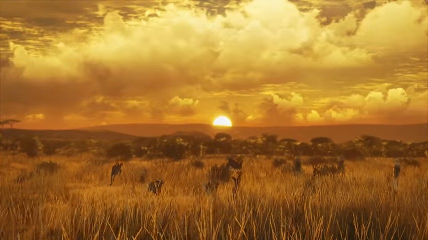 The Hunter: Call of the Wild 2019 Edition (PS4)