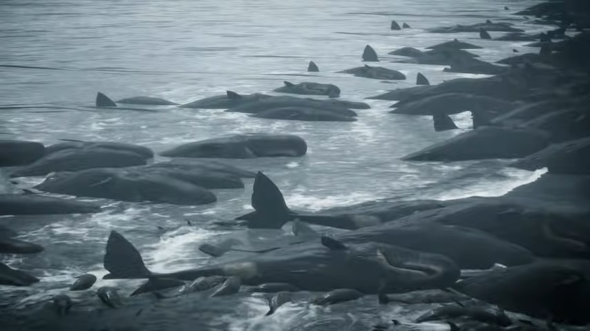Death Stranding (PS4)