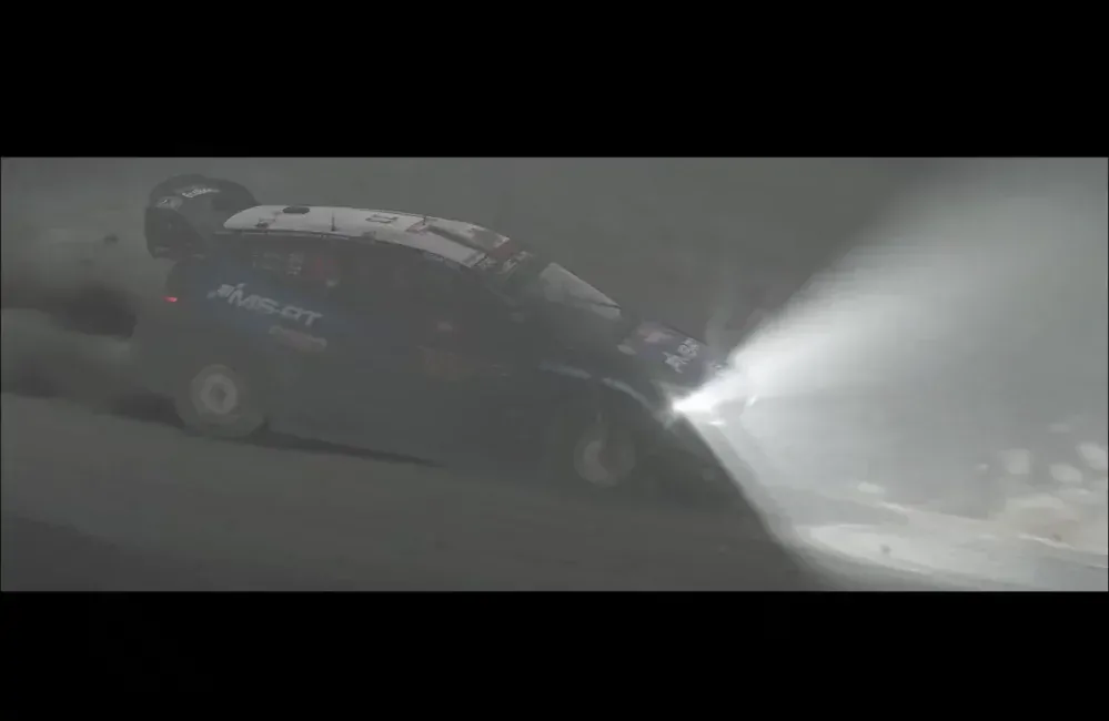 WRC 8 (PS4)