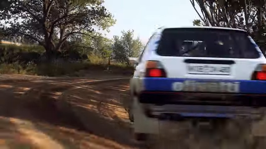 Dirt Rally 2.0 Game of The Year Edition (PS4)