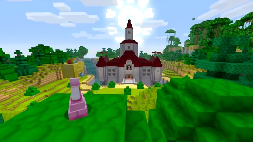 Minecraft /Nintendo Switch/