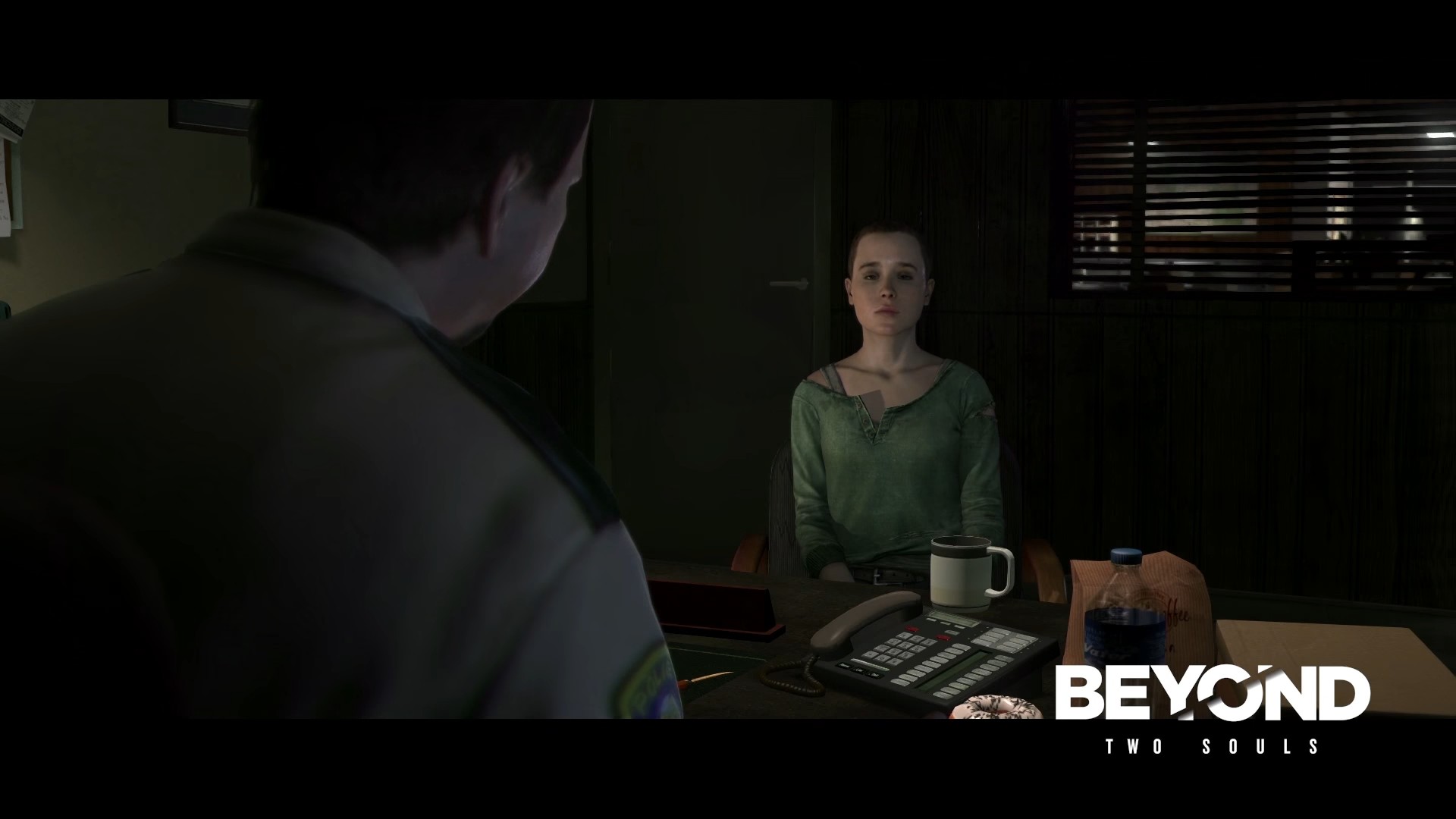 The Heavy Rain + Beyond: Two Souls Collection (PS4)